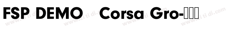 FSP DEMO   Corsa Gro字体转换